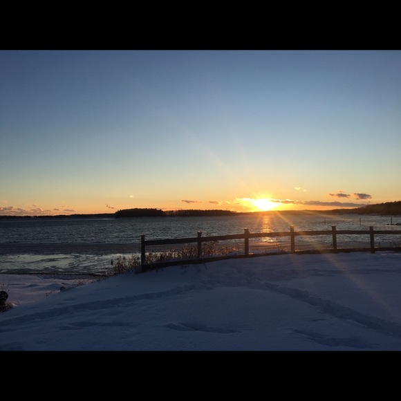 Meet your Posher, Ginger - Picture 1 of 1